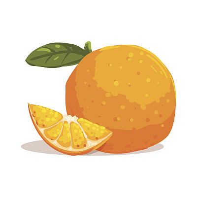 新鲜的全花园橙与叶片和橙色切片旁边凉爽的风格明亮的插图图片下载