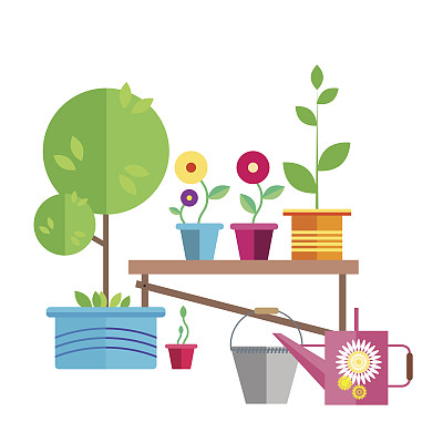 花园。一棵小树在一个蓝色的花盆里。图片下载