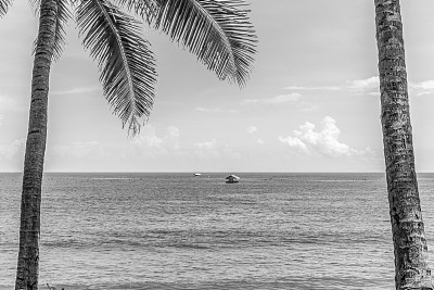 海景，巴厘岛附近孤独的平房。在黑白版本中。图片下载