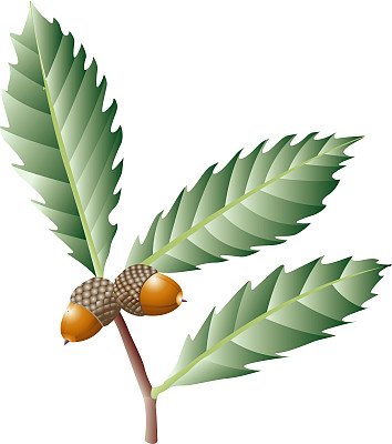 如果水图片下载