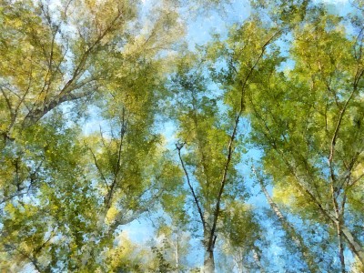 俄罗斯春天风景水彩插图。照片处理的概念。图片下载