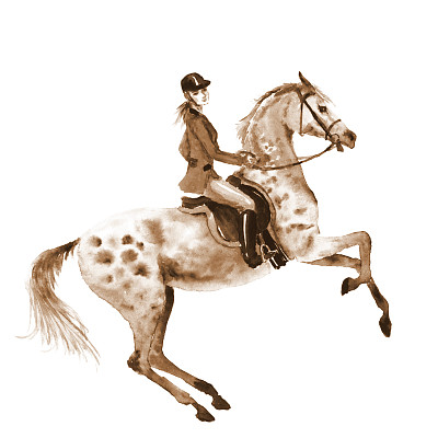 水彩骑手与马插画素材图片