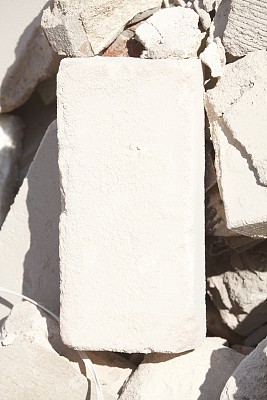 鲍舒特图片下载