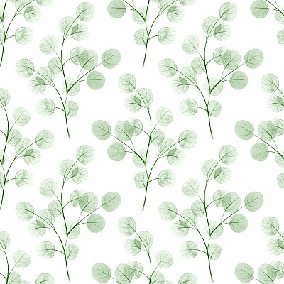 有圆形皮的树枝。水彩背景4素材图片