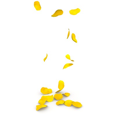 黄色的玫瑰花瓣在地板上飞舞图片下载