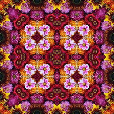 无缝的花朵背景图片下载