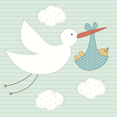 可爱的婴儿沐浴卡作为复古面料贴花的鹳和新生儿图片下载
