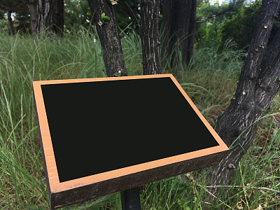 请注意图片下载