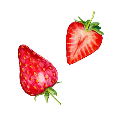 白色背景上的草莓水彩手绘插画图片下载