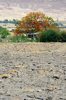 约旦死海公路图片下载