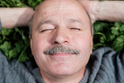 成熟的快乐的人躺在绿草地上。他微笑着闭上眼睛。图片下载