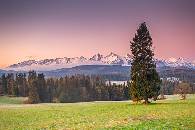清晨的高山峡谷图片下载