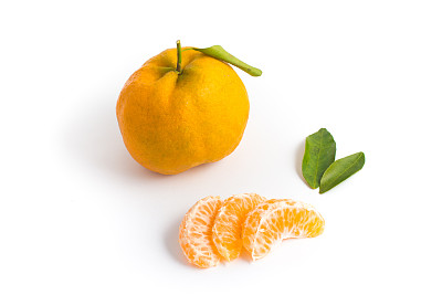 巴西的墨西哥波坎或橘子图片下载