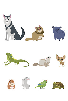 家养宠物图片下载