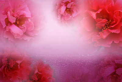 背景是甜美的粉红色花朵，有一个火花和空白的文字。图片下载