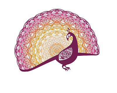 尾部有图案的火鸟。孔雀图片下载