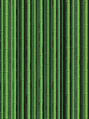 竹子的背景图片下载