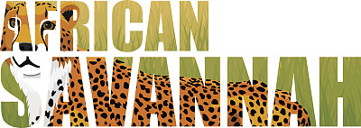 媒介非洲猎豹(美洲豹)插图素材图片