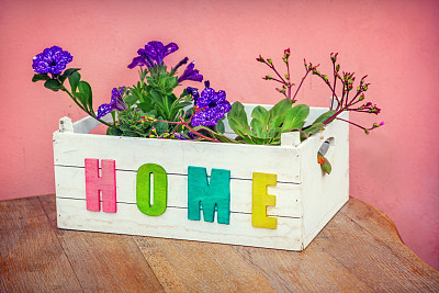 盒子里的花图片下载