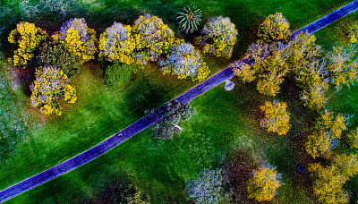 在公园散步图片下载