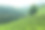 Boseong茶字段素材图片