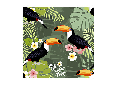 巨嘴鸟无缝模式图片下载