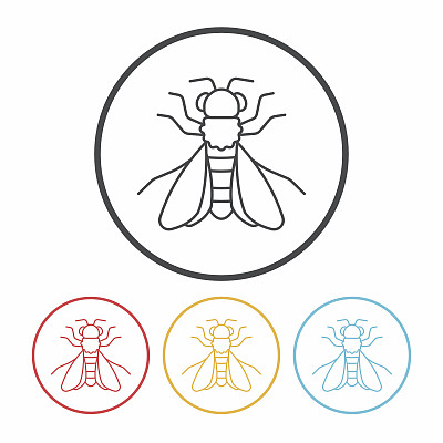 昆虫行图标图片下载