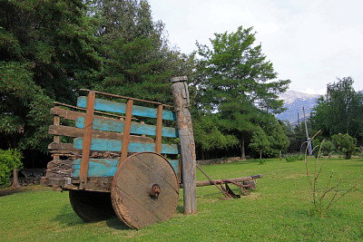 旧的木制独轮手推车在草地上，智利图片下载