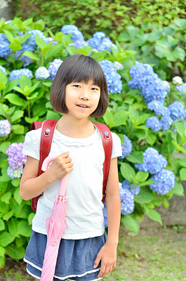 一个女孩和绣球花图片下载