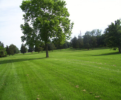 特殊的图片下载