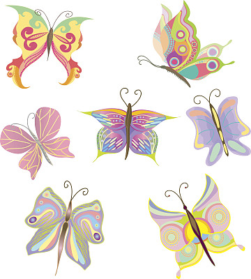 蝴蝶向量图片下载