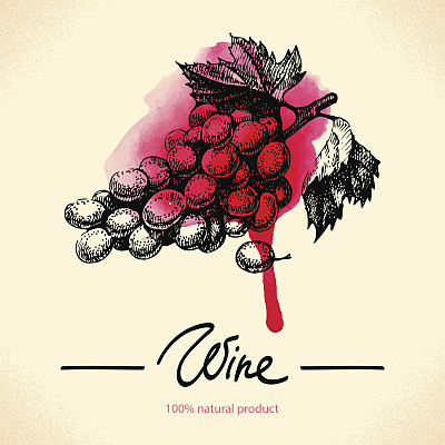 葡萄酒年份背景图片下载