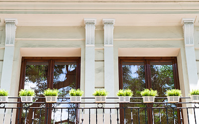 阳台上有两扇带植物的窗户。图片下载