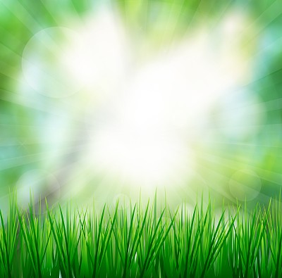 清新的春天绿草与阳光模糊的背景图片下载