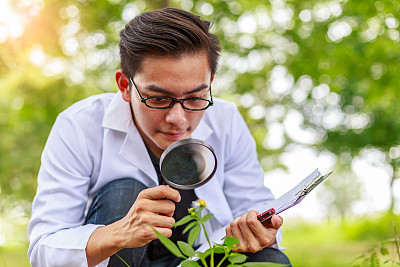 在森林公园研究植物的亚洲生物技术科学家图片下载