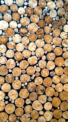 老泥土树桩背景图片下载