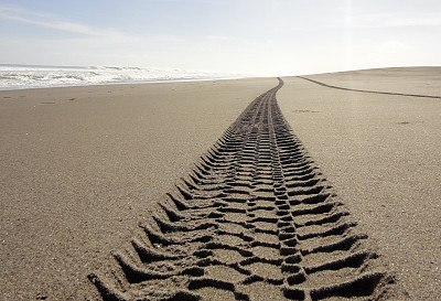 沙子上有汽车轮胎的痕迹。自然的颜色。太平洋海岸图片下载