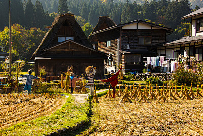 Koyo在白川go -日本2015图片下载