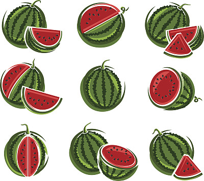 西瓜。向量图片下载