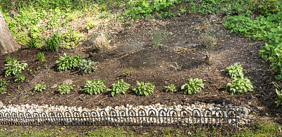 一个带有岩石边界的小园林图片下载