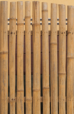竹面板图片下载