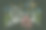 用棉花糖画的粉笔字图片下载