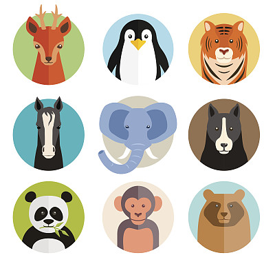 一组圆形按钮中的矢量动物图标图片下载