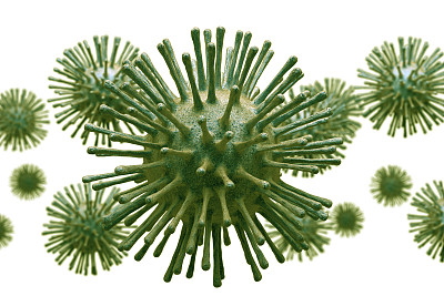 病毒细胞图解图片下载