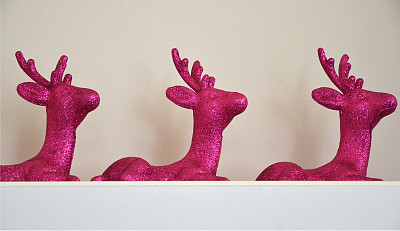 圣诞驯鹿图片下载