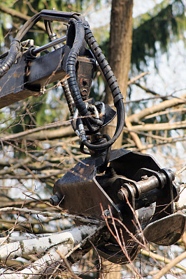 林业格斗图片下载