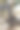林业格斗图片下载