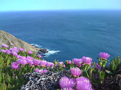西海岸的美丽图片下载