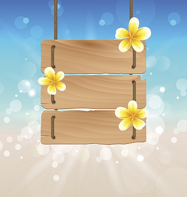 挂着热带花鸡蛋花的木招牌图片下载