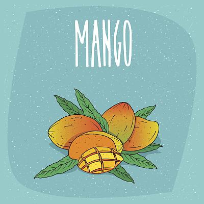 单独的成熟芒果果实完整和切图片下载